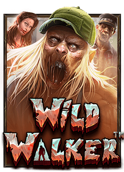 slot24: ประสบการณ์ทดลองเล่นที่น่าตื่นเต้น